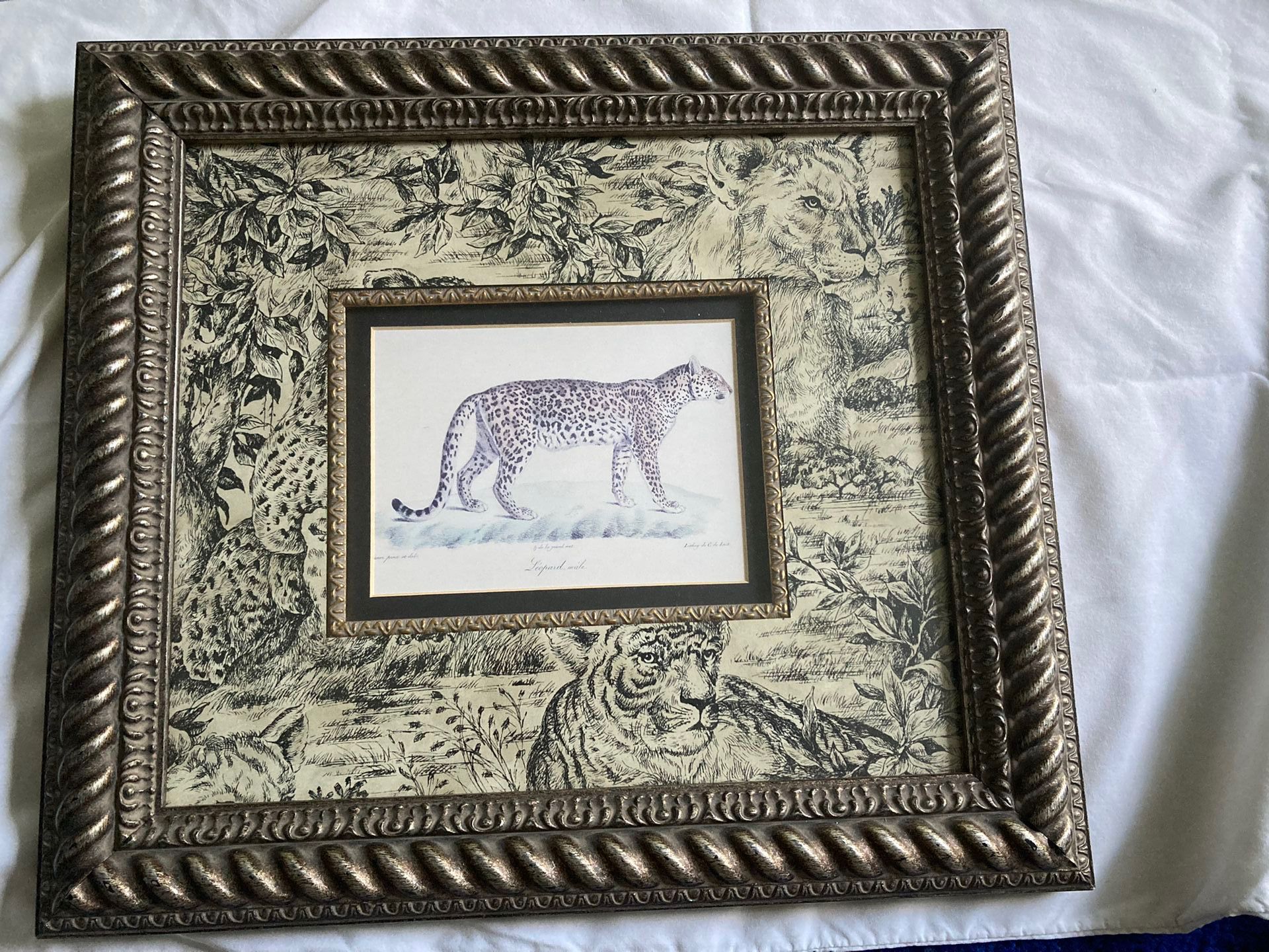 Leopard Picture