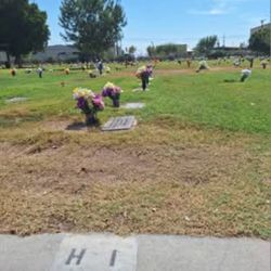 Burial Plot Desert Lawn Memorial Park 