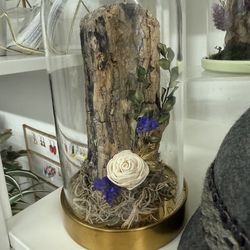 Plant terrarium