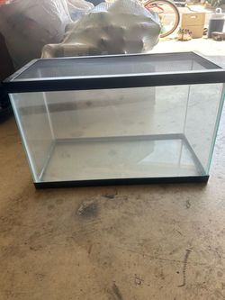 Glass Terrarium/Aquarium tank