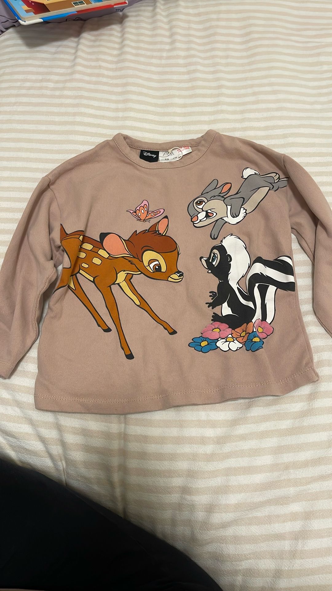 ZaraxDisney