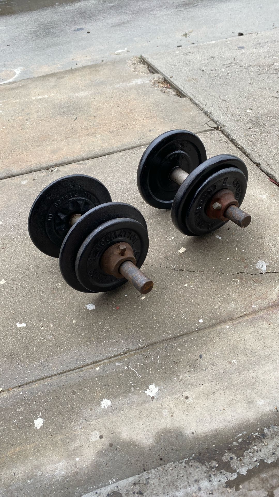 Pair Original Dumbbells