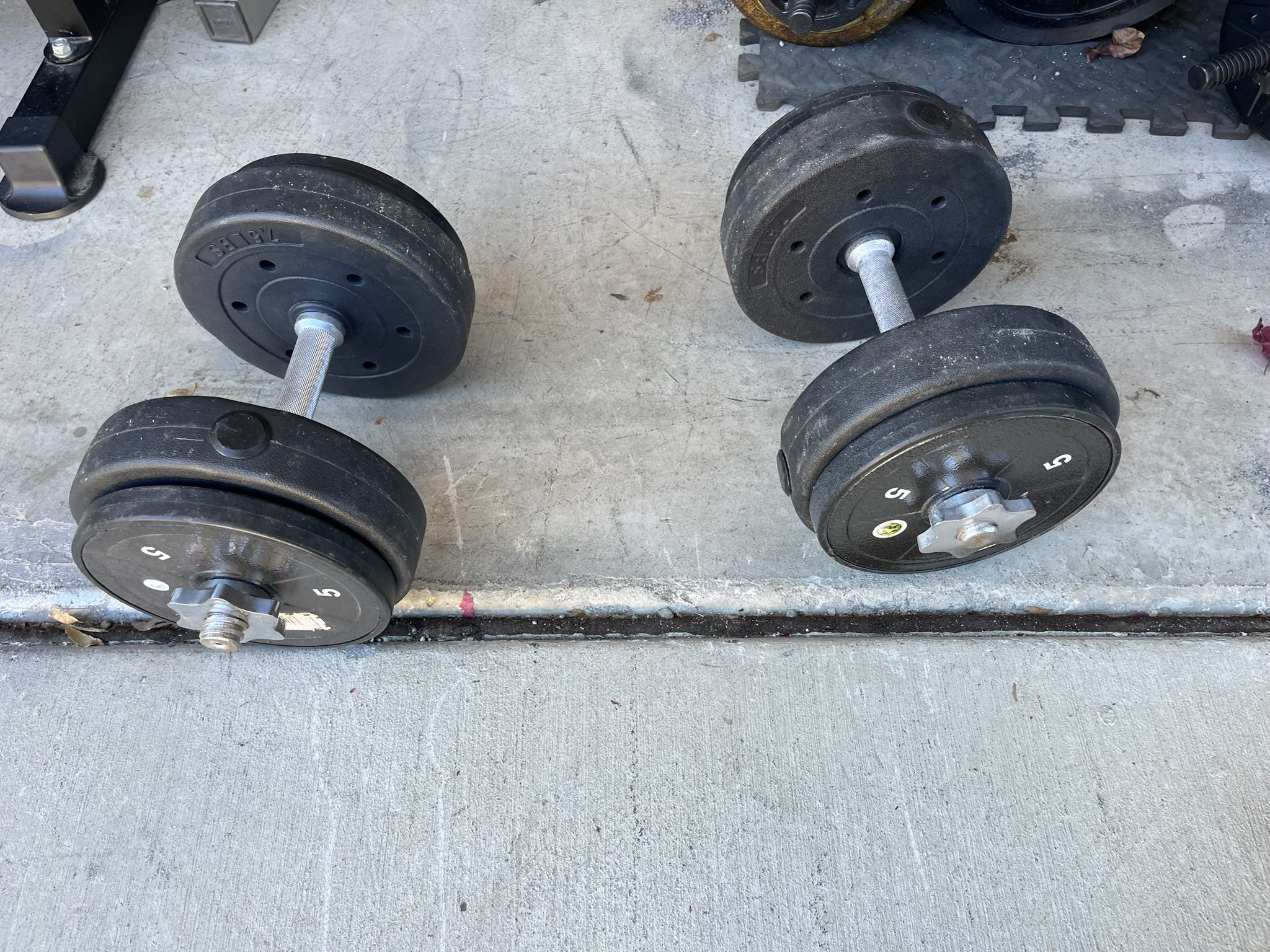 Dumbbells 30 Lbs