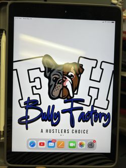 iPad