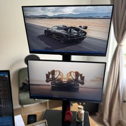 Dual Phillips Monitors With Stand 
