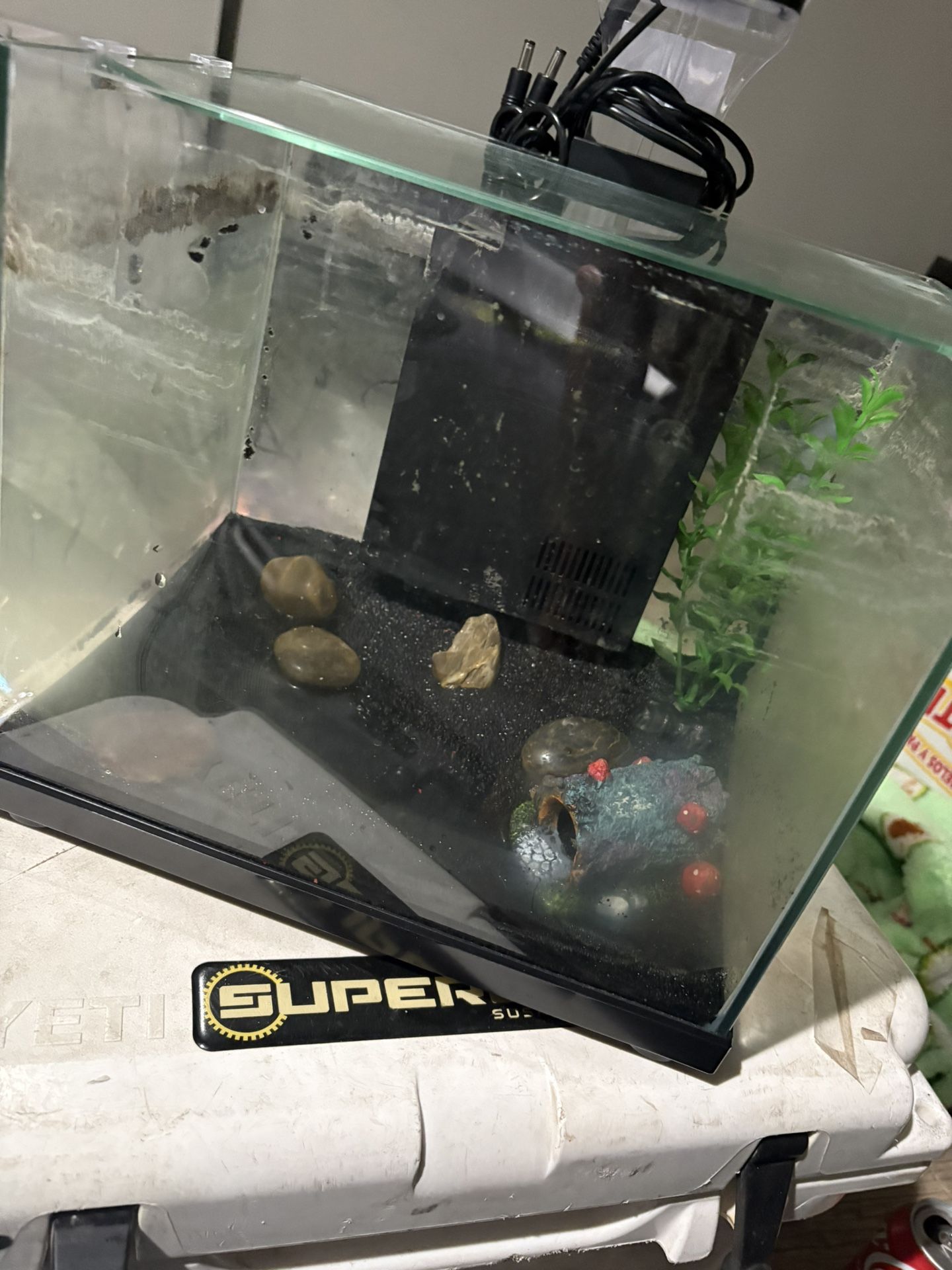 5 Gallon Fish Tank