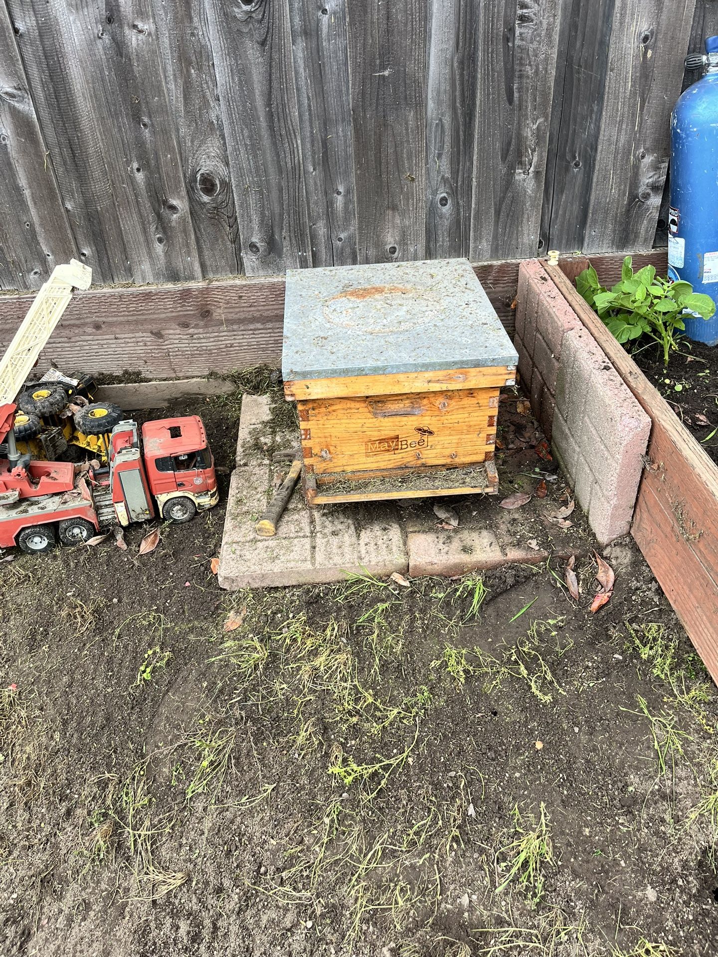 Beehives