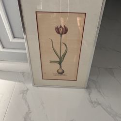 Beautiful Framed Art