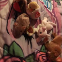 Beanie Babies