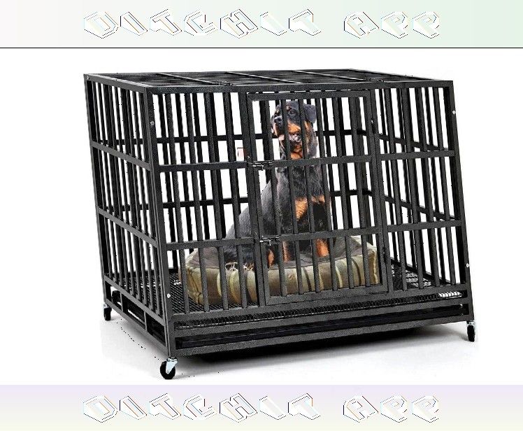 environment scene Durable Pet Cages - Protection and Coziness for Your Pet Companion