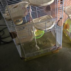 Hamster Cage 