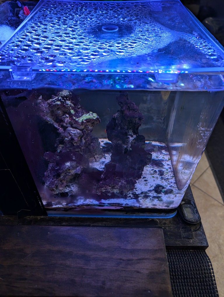 8 Gal Cube Salt Water Aquarium With Lights $25
