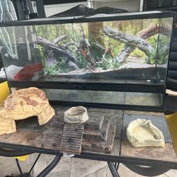 Reptilqndia Cage With Extras 