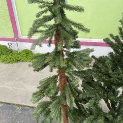 Tree By International Tree Company New Took Out Of Box For Pic.  Didnt Shap It Yet 