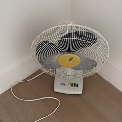 Electric Air Fan
