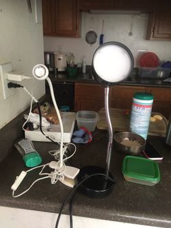 2 Adjustable Lamps
