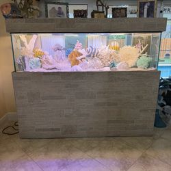 Fish Tank