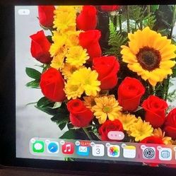 Apple IPad Air 2 With Case 