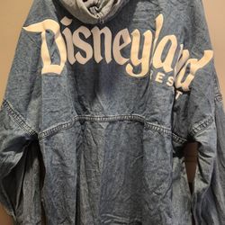 Disneyland Spirit Jersey