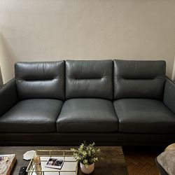 New Leather Sofa