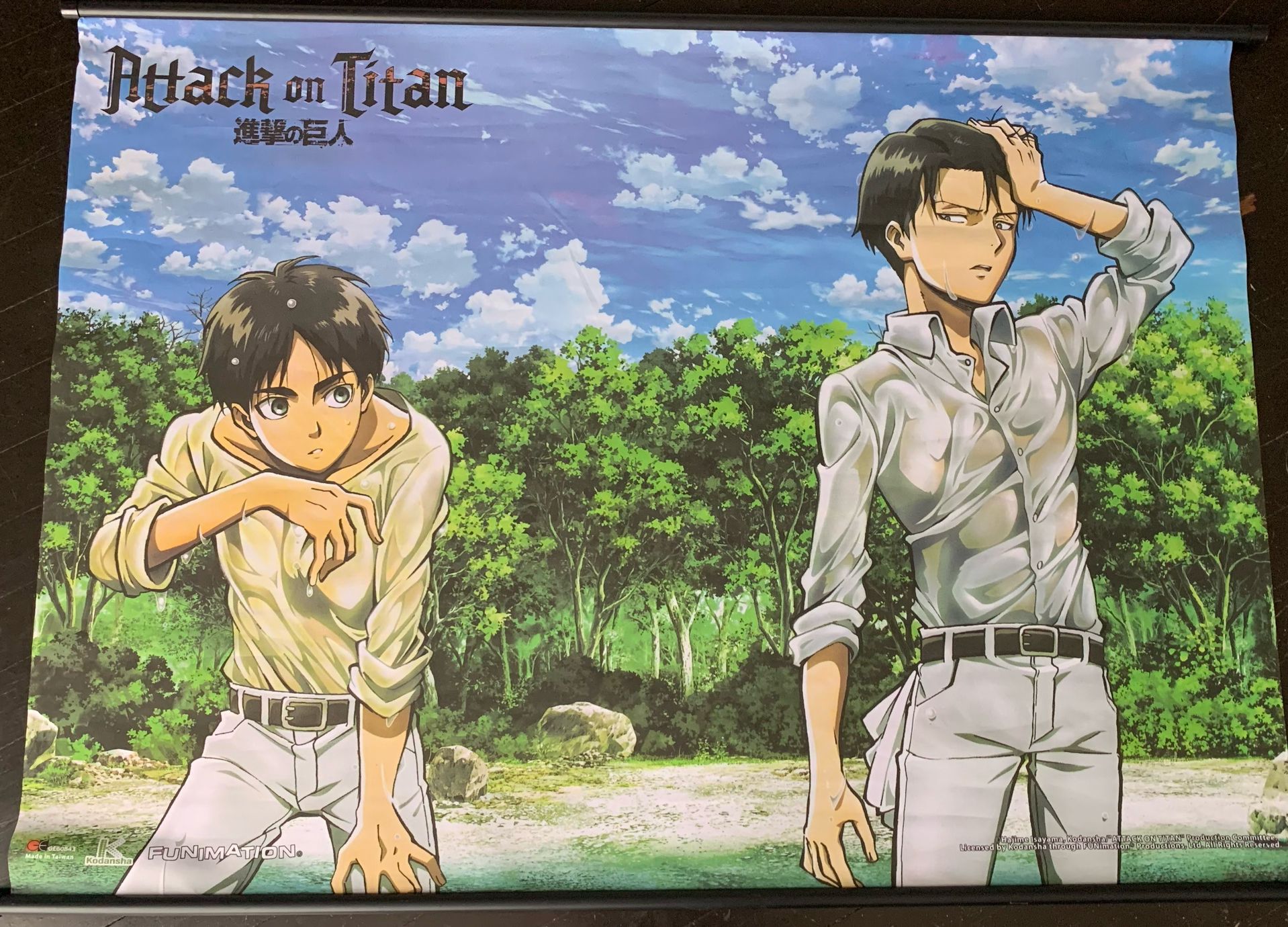 Attack on titan poster