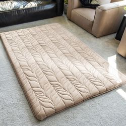 Queen Bed Mattress Futon 