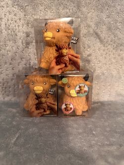 Crunchy highland cow
