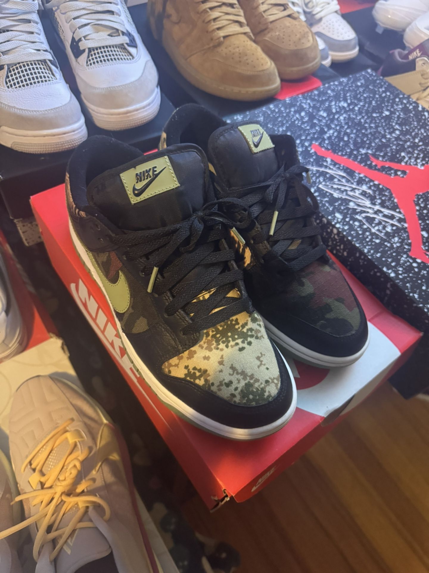Nike Dunk Crazy Camos Size 8.5