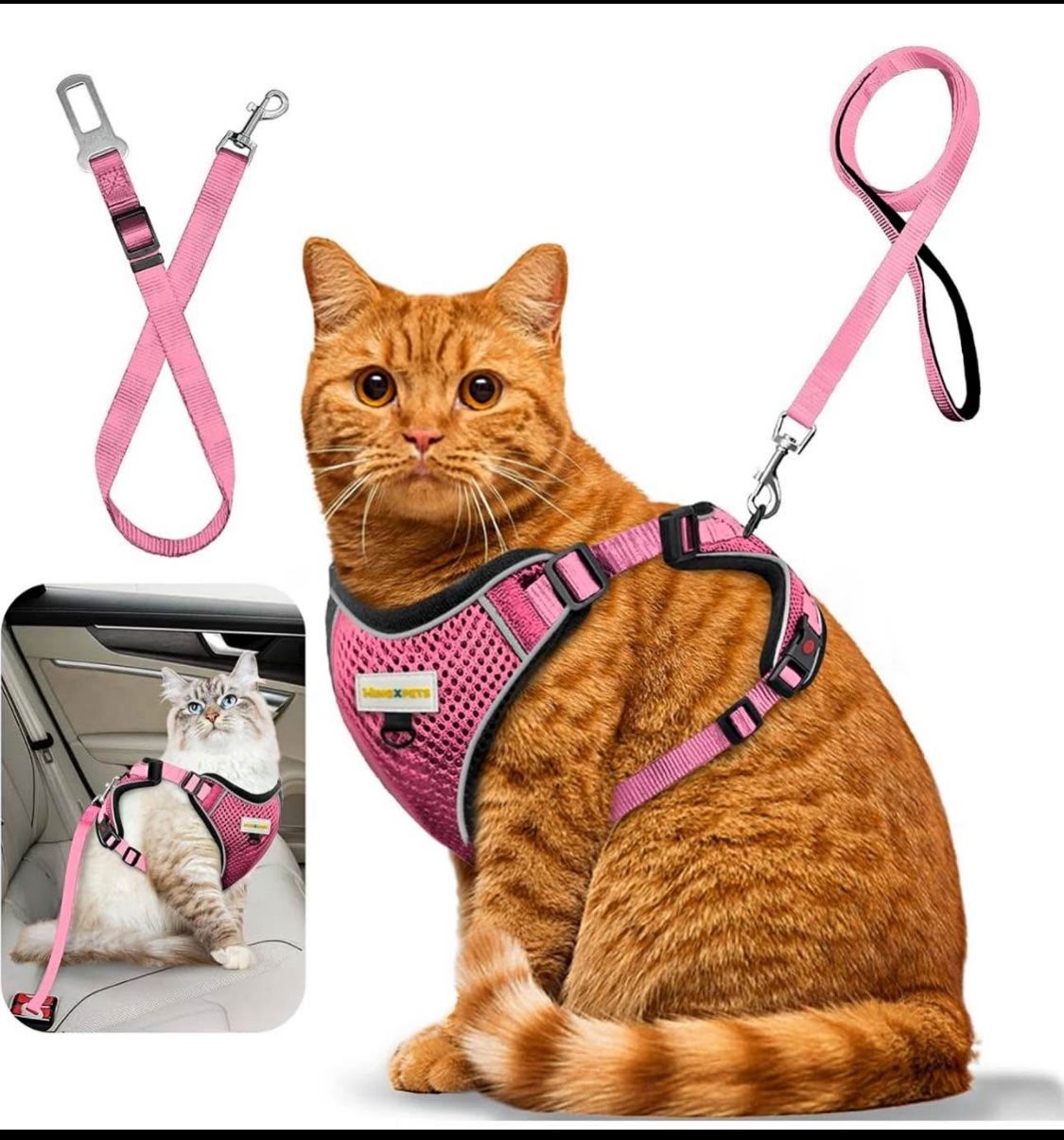 Cat Harness and Leash for Walking, Retractable XS