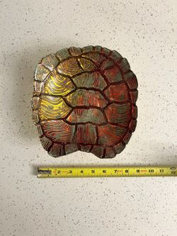 Decorative Turtle Shell (Glass)