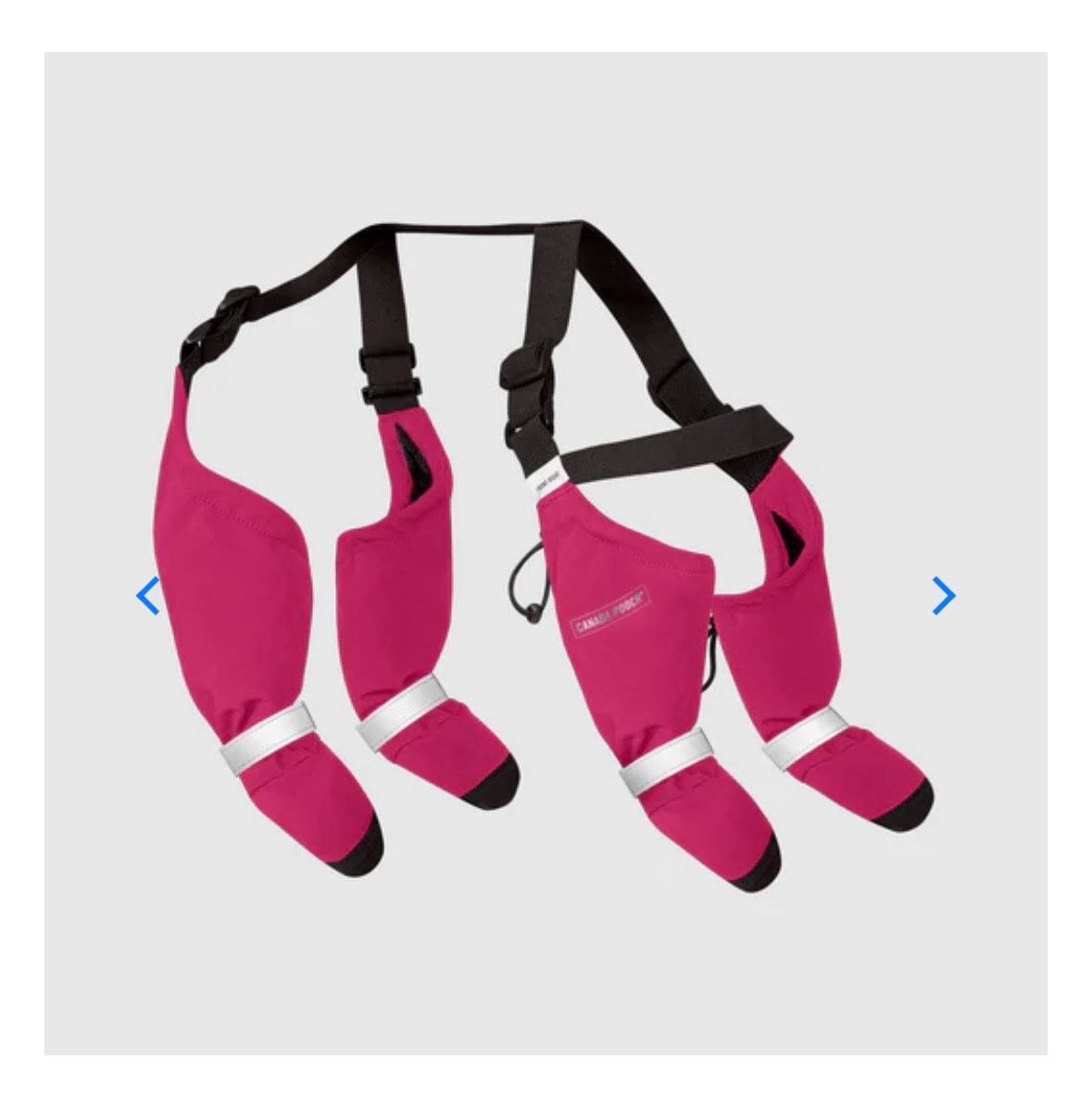 Canada Pooch Dog Booty Suspenders