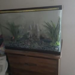 Fish Tank