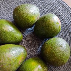 Selling Avocados 🥑