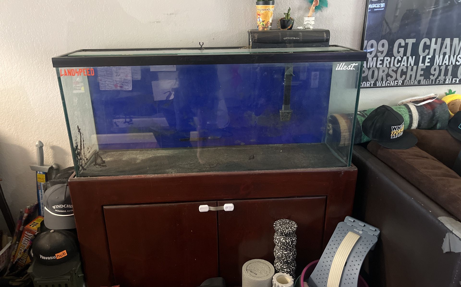 55 Gallon Fish Tank