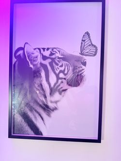 Framed Tiger