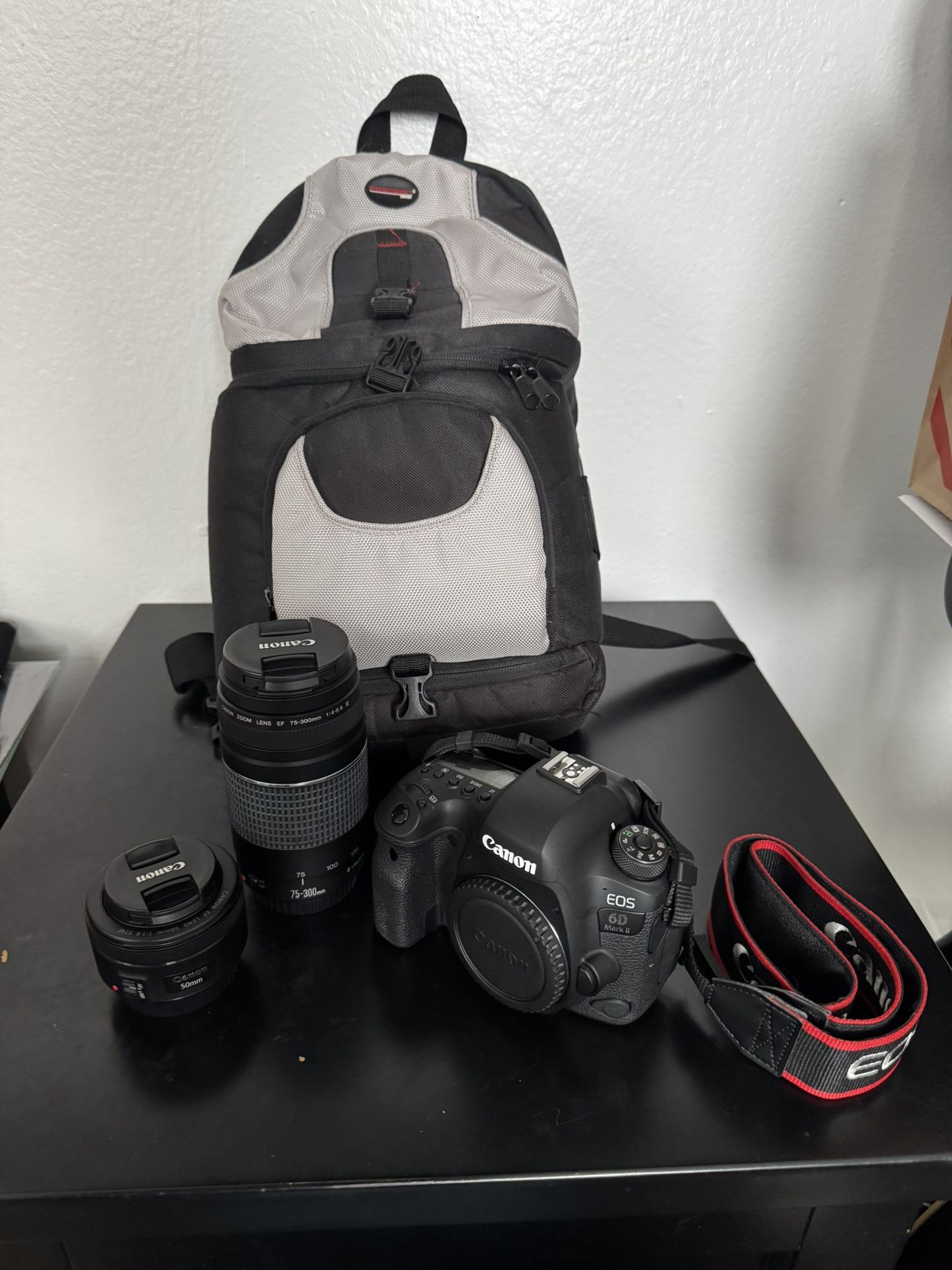 Canon EOS 6D Mark II DSLR Camera + 2 Lenses (50mm & Zoom 75-300mm) +