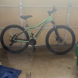 Foray Cannondale