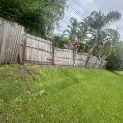 You Need Fence ?