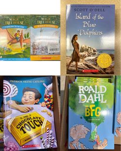 3rd grade Paperback Books NEW