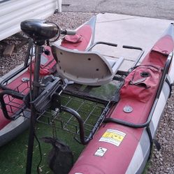 Wilderness  Pontoon Boat W/trolling Motor