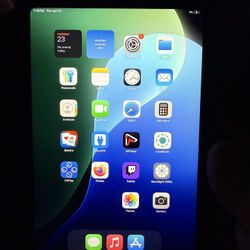 iPad Mini 6th gen. 256gb With Unlocked Sim Card Slot