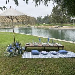 Picnic Table For 10