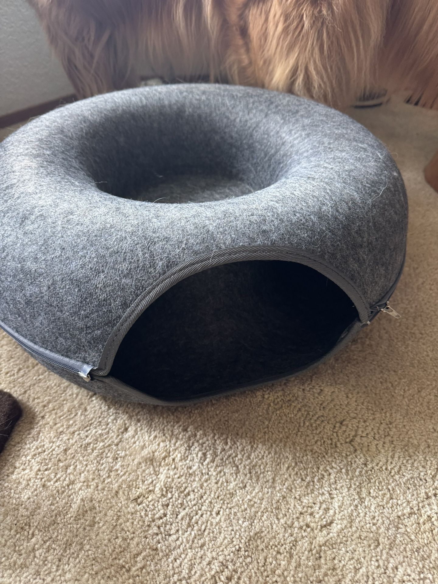 Cat Bed And Scratcher