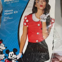 Mini Mouse Costume