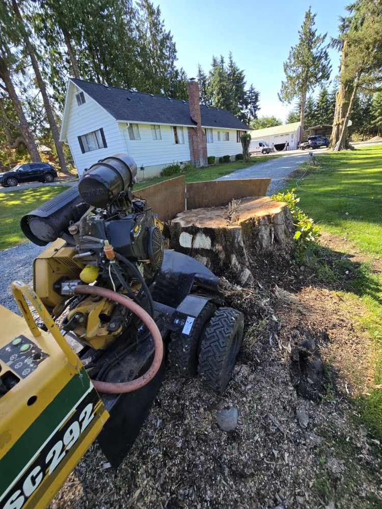 Stump Removal Made EASY