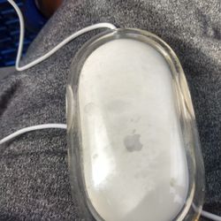 Apple Mouse