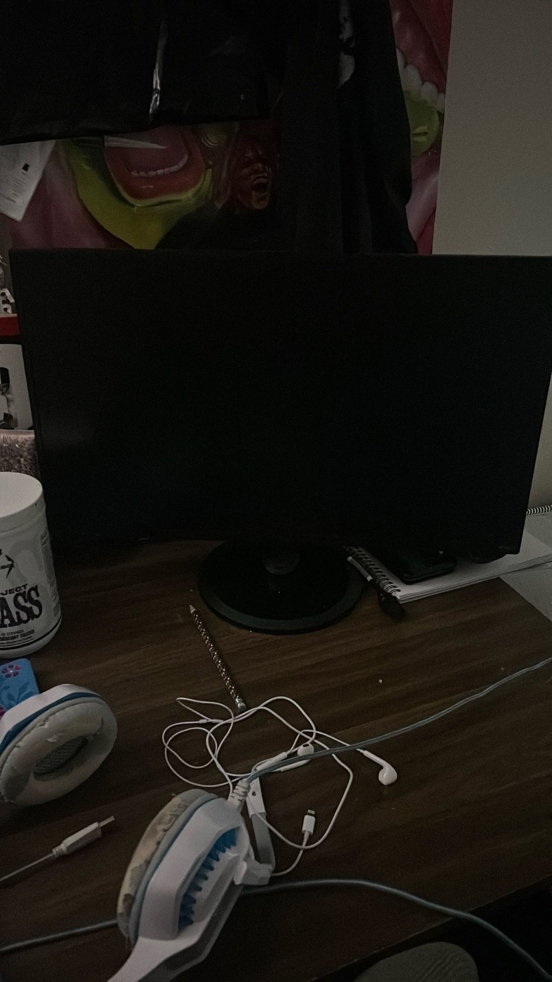 60hz Monitor/24in