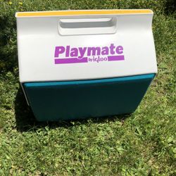 Playmate Igloo Cooler Keeps Items Cold For Hours