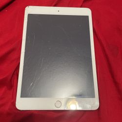 iPad Mini