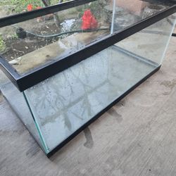 Large Fish/Turtle Tank